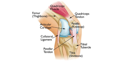 Patella Femoral Sendromu